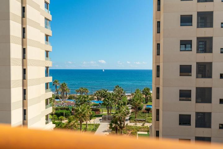 GRAN ÁTICO CON VISTAS AL MAR EN TORREVIEJA, 3 HAB, 2 BAÑOS photo 0