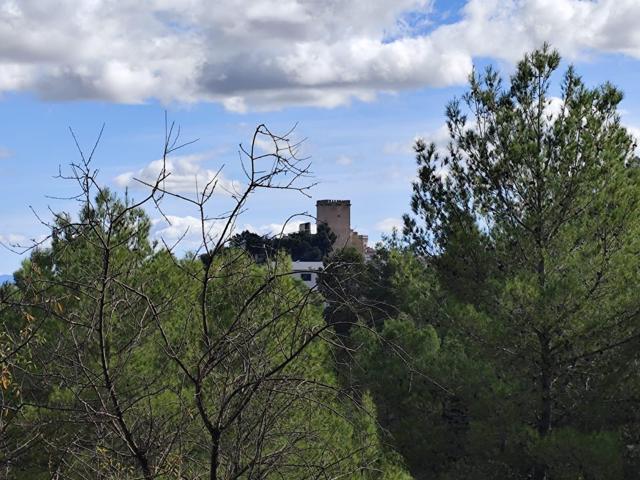 FINCA DE 60.000M2 VALLADA VISTAS DESPEJADAS AL PUEBLO DE MORATALLA photo 0
