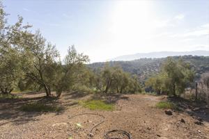 ¡Oportunidad única en Loja! Una finca que lo tiene todo para tus proyectos y sueños photo 0
