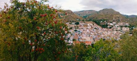 Un Paraíso Natural entre Olivos, Granados, Almendros e Higueras photo 0