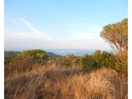 Begur, Conjunto de 5 parcelas en la zona de Son Molas cerca del pueblo photo 0