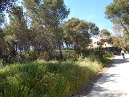 Tamariu, Parcela urbana de 999 m² con orientación sur a 1 km de la playa photo 0