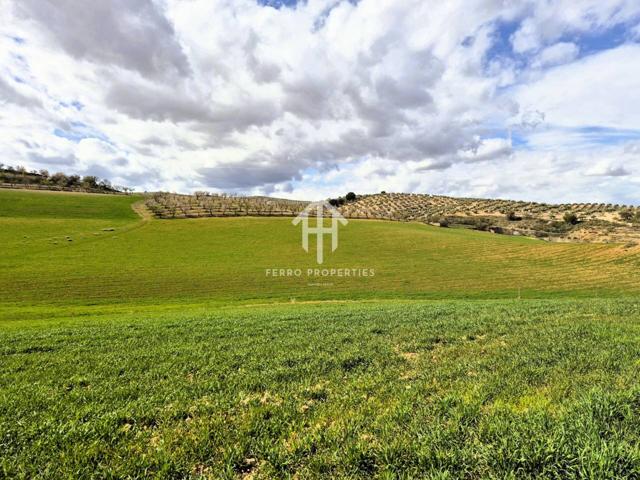 Finca Rústica de Cultivo photo 0