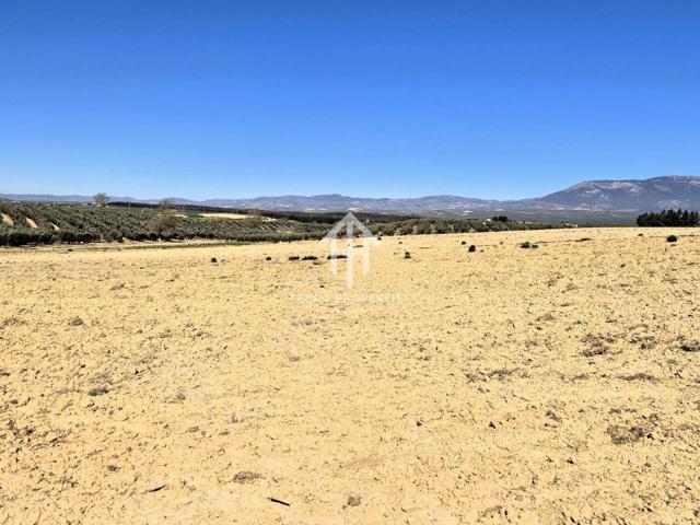 Finca de calma photo 0