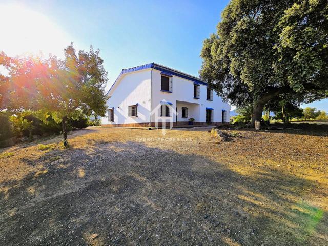 Finca Rústica con Chalet de Lujo en Paraje Natural photo 0