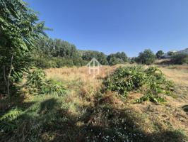 ¡Increíble finca rústica en venta en Algarinejo! photo 0