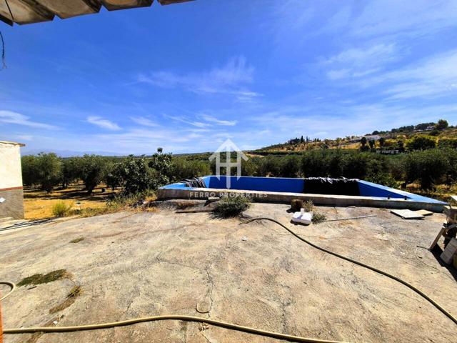 Venta de finca rústica en Moraleda de Zafayona photo 0