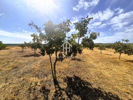 Finca rústica de riego en venta – Moraleda de Zafayona photo 0
