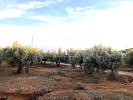 Venta de terreno en Iznalloz ( La Nava) photo 0