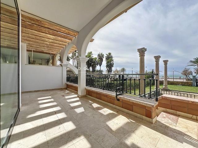 Planta Baja En alquiler en Palma De Mallorca photo 0