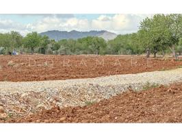 Terrenos Edificables En venta en Campos photo 0