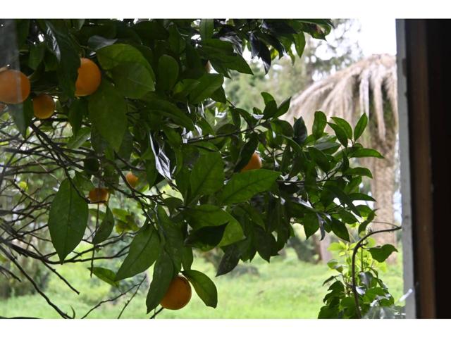 OPORTUNIDAD. Puedes vivir en el chalet de tus sueños y que se pague solo. photo 0