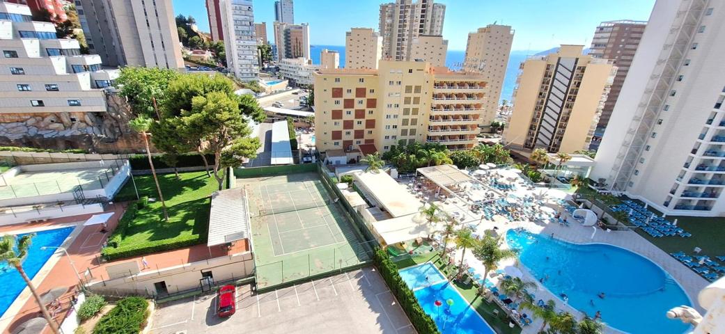 SE VENDE DOS APARTAMENTOS EN BENIDORM ( ATENCIÓN INVERSORES ) photo 0