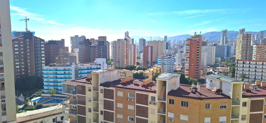 PISO EN BENIDORM A 500MTS  DE LA PLAYA LEVANTE photo 0