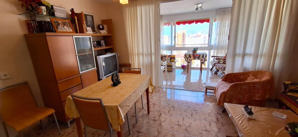 APARTAMENTO EN BENIDORM CERCA DE TODOS LOS SERVICIOS photo 0