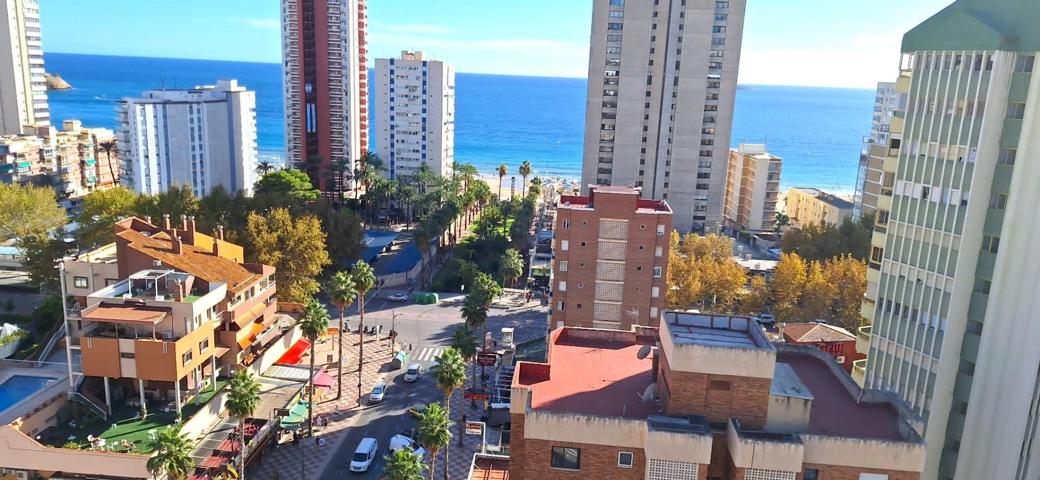 PISO CON VISTAS A 100MTS DE LA PLAYA DE LEVANTE photo 0