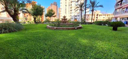 APARTAMENTO EN BENIDORM REFORMADO, photo 0