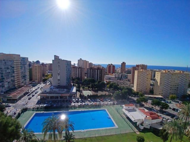 APARTAMENTO EN BENIDORM photo 0