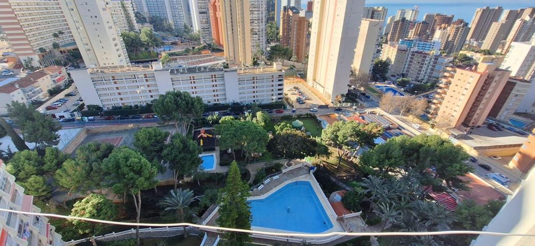APARTAMENTO RINCON DE LOIX photo 0