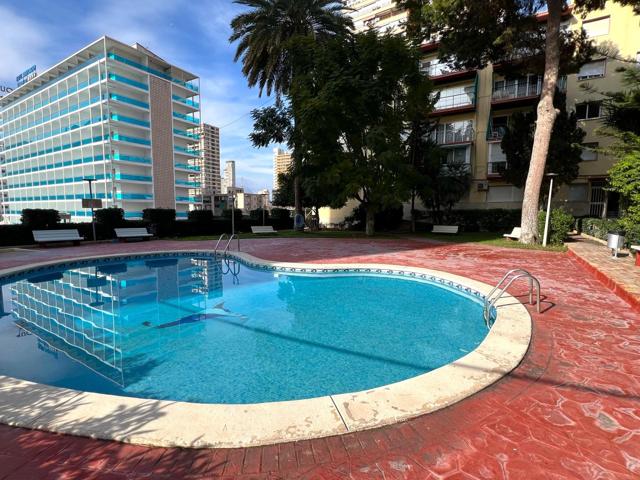 PISO FAMILIAR CERCA DE LA PLAYA photo 0