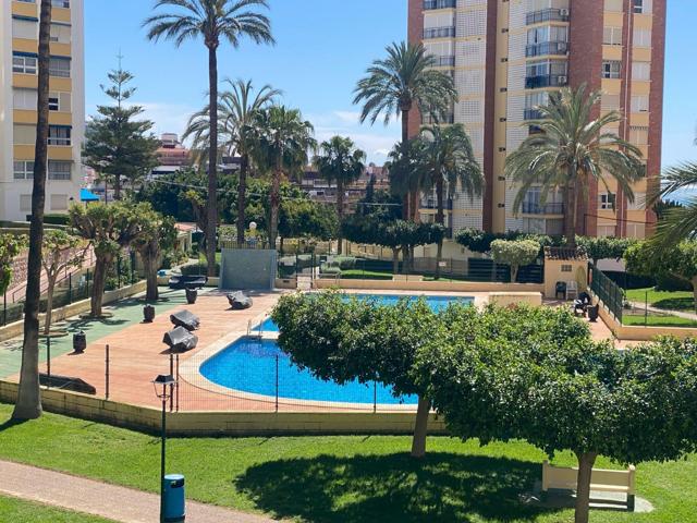 APARTAMENTO EN EL CENTRO DE BENIDORM photo 0