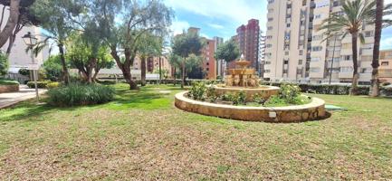 ESTUDIO EN BENIDORM photo 0