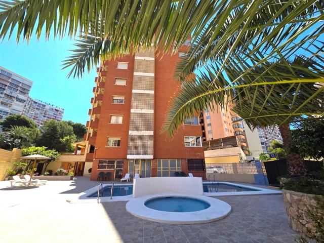 APARTAMENTO EN BENIDORM  ( PRECIO NO NEGOCIABLE ) photo 0
