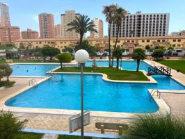 PISO EN ZONA JUZGADOS: ¡Tu refugio legal en Benidorm! photo 0