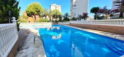 APARTAMENTO 3 DOR PISCINA Y PARKING photo 0