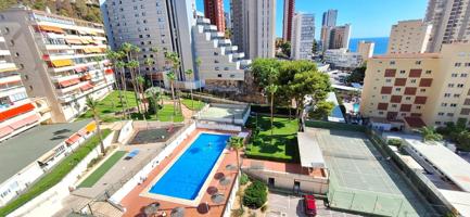 ALQUILER ANUAL CON VISTAS AL MAR photo 0