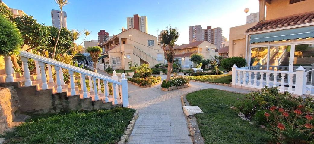 ESTUDIO CON DORMITORIO EN BENIDORM photo 0