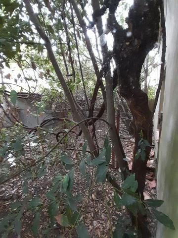 CASA 3 HAB. EL CRISTO. PARA REFORMAR photo 0