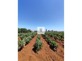 Finca a la Venta photo 0