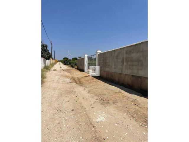 Finca a la Venta photo 0