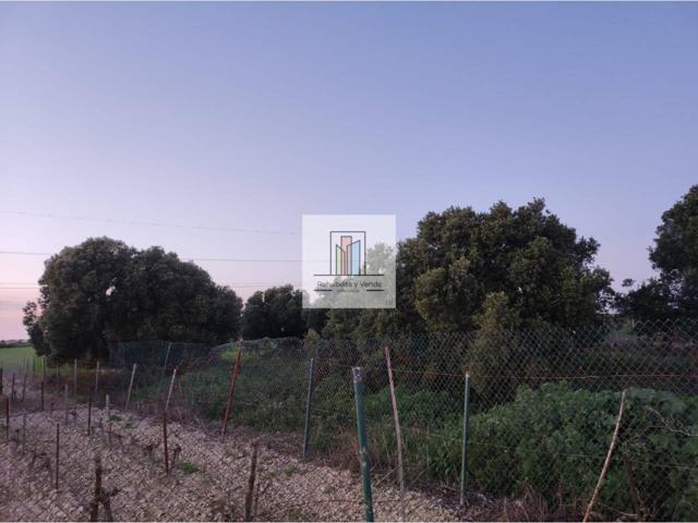 Parcela en Venta photo 0