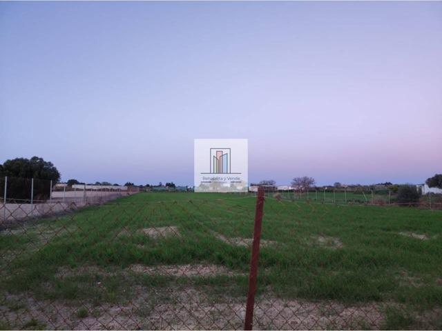 Parcela Segrega en Miralamar photo 0