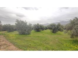 Parcela rústica de 8.500m2 con pozo en Alhaurin el Grande photo 0