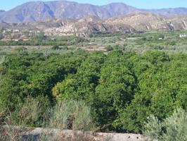 Venta de Finca Rústica con Naranjos y Olivos en Santa Cruz de Marchena photo 0