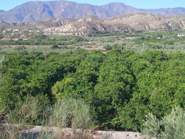 Venta de Finca Rústica con Naranjos y Olivos en Santa Cruz de Marchena photo 0