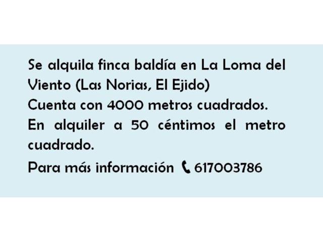 Venta de Finca Baldía en La Loma del Viento (Las Norias, El Ejido) photo 0