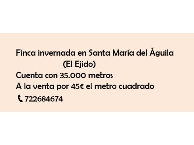 Terreno en venta en El Ejido photo 0
