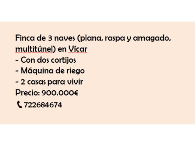 Venta de invernadero de 3 naves en Vícar photo 0