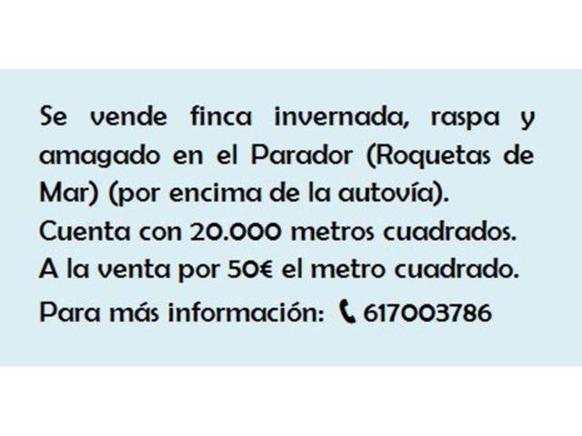 Venta de finca invernada en El Parador photo 0
