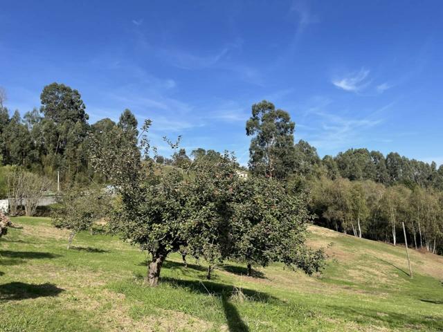 Terreno en venta en Zona Rural(33392) photo 0