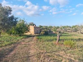 CASA DE CAMPO NECESITA REFORMAR COMPLETAMENTE CERCA DE SAN LORENZO MALLORCA photo 0