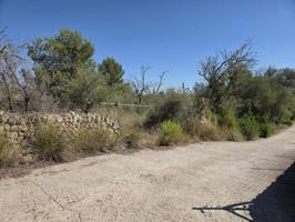 TERRENO DE 32.626M2 PARA CONSTRUIR MUY CERCA DE MANACOR photo 0
