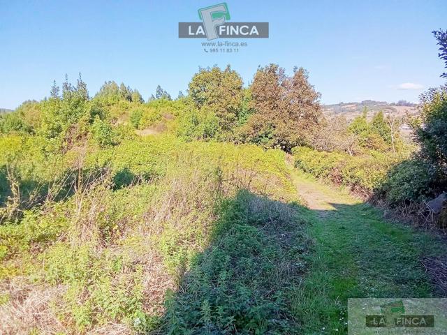 Terreno Urbanizable En venta en Los Cabos, Pravia photo 0