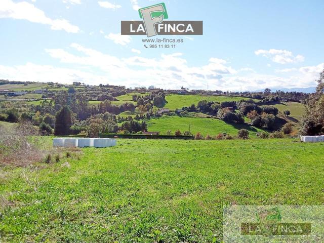 Terreno Urbanizable En venta en La Llomba, Llanera photo 0