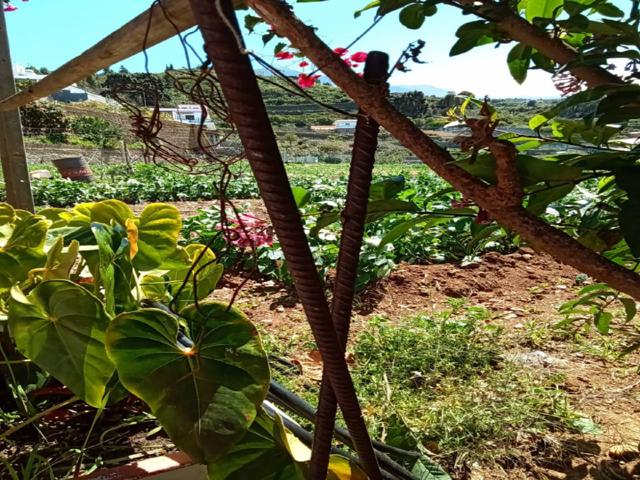 Terreno en venta en Camino de La Ladera photo 0