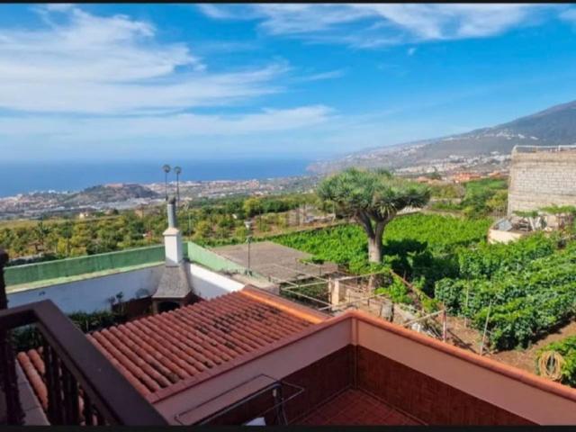 VENTA-LA OROTAVA photo 0